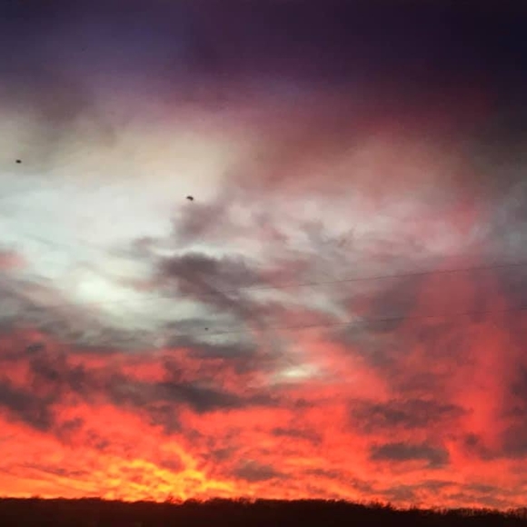 Meet your Posher, Debbie - Picture 1 of 1